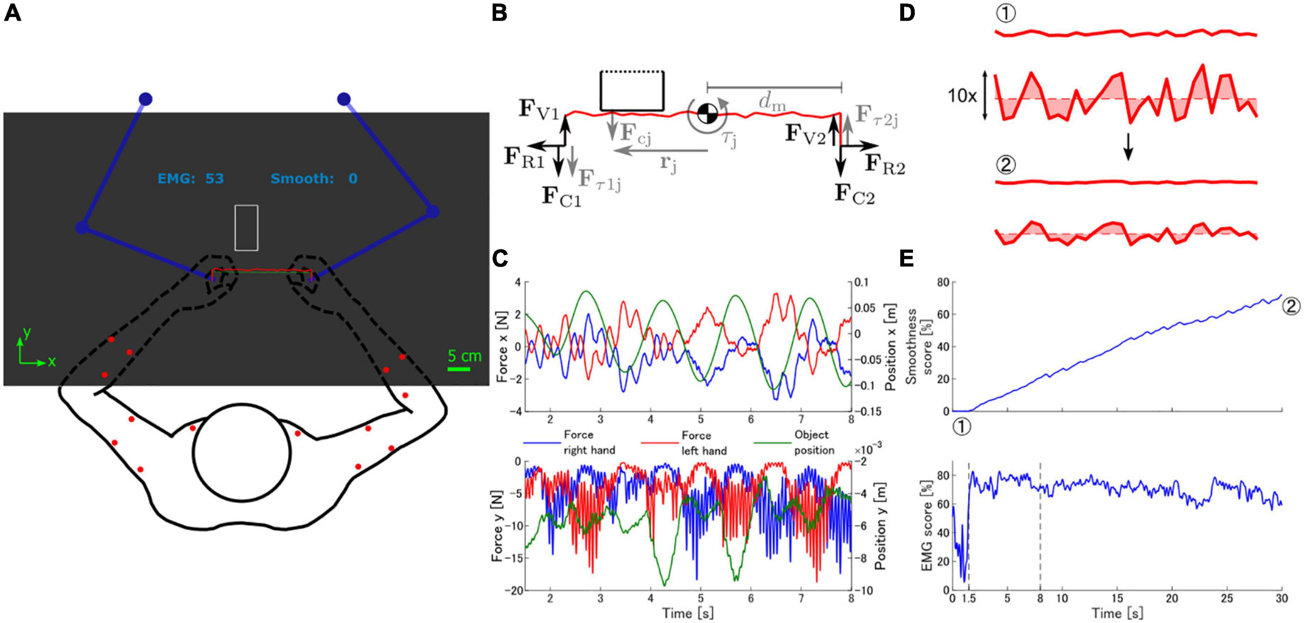 EMG space similarity feedback promotes learning of expert-like muscle activation patterns in a complex motor skill